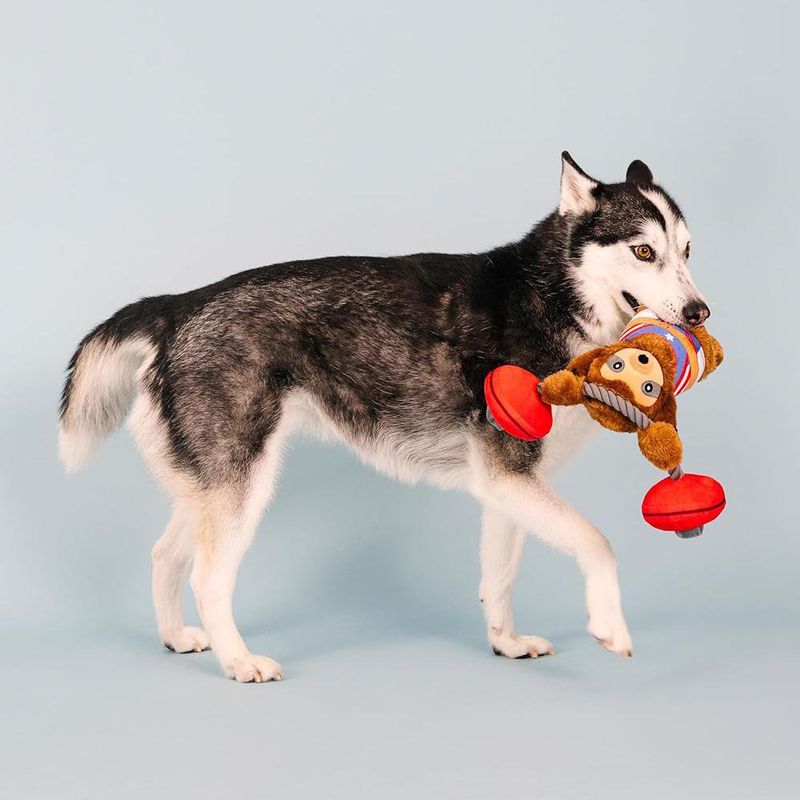 Juguete para Perro de Perezoso Musculoso