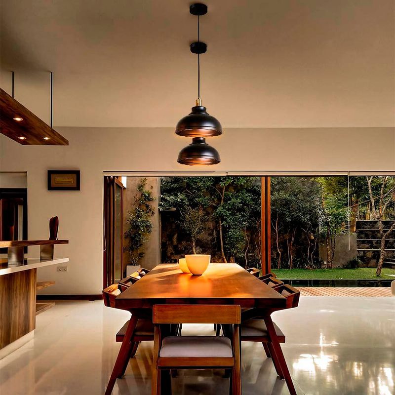 Lámpara Colgante Eirene 1 Luz Negro