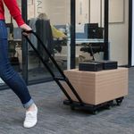 Truck Plataforma Extensible 154 Lb - Standers
