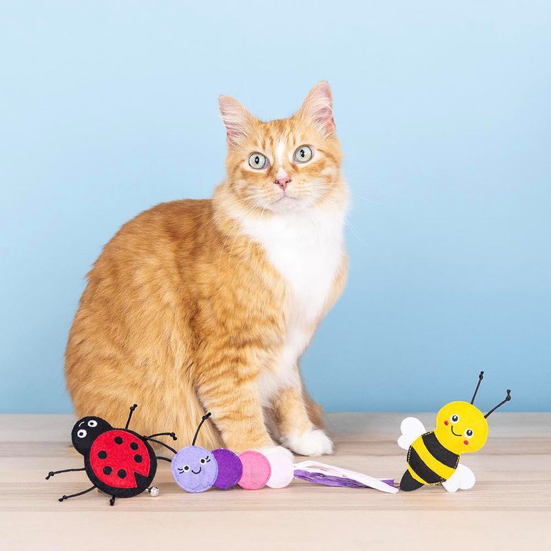 Set de Juguetes para Gato Living The Bug Life 3 Pzas