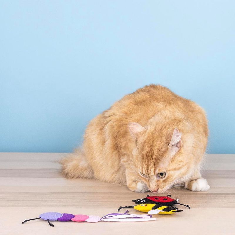 Set de Juguetes para Gato Living The Bug Life 3 Pzas