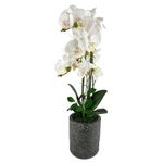Orquídea Artificial Blanca con Maceta 72 cm