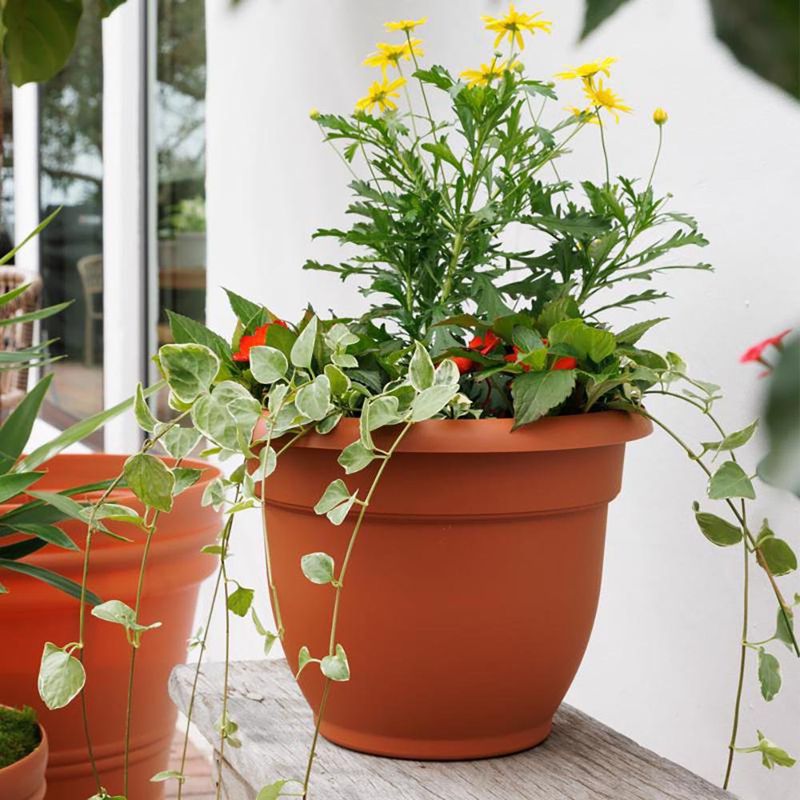 Maceta de Plástico Ariana Terracota 16 Plg