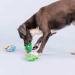 Set de 3 Juguetes para Perro Diseño Dinosaurios