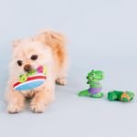 Set de 3 Juguetes para Perro Diseño Dinosaurios
