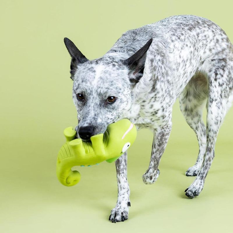 Juguete para Perro Diseño Camaleón