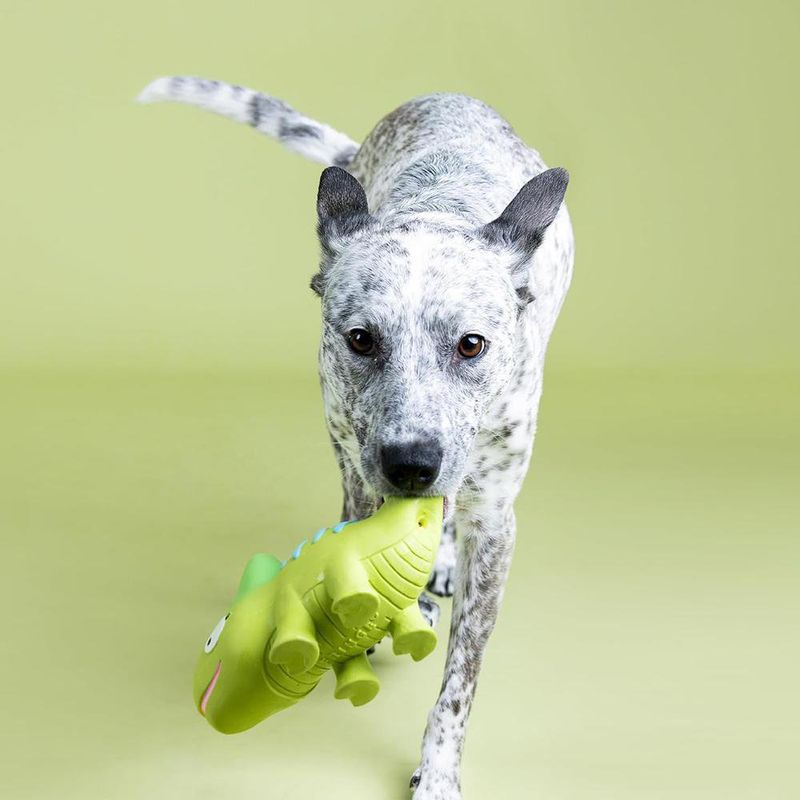 Juguete para Perro Diseño Camaleón