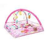 Gimnasio Pelotero Helados - Premium Baby