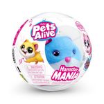 Hamstermania Diseños Surtidos