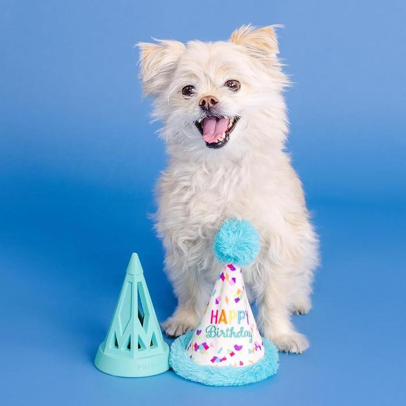 Juguete para Perro Diseño Happy Birthday