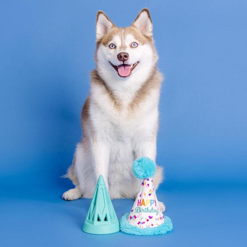 Juguete para Perro Diseño Happy Birthday