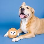 Juguete de Peluche para Perro