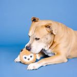 Juguete de Peluche para Perro