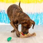 Set de 3 Juguetes para Perro Fiesta Mexicana