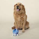 Juguete para Perro de Pulpito Azul