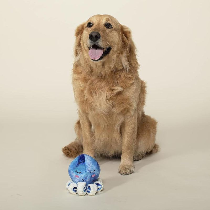 Juguete para Perro de Pulpito Azul