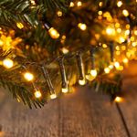 Serie LED Cálida de 100 Luces y 8 Funciones