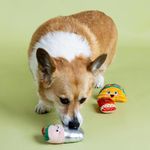 Set de 3 Juguetes para Perro I Got The Hot For U