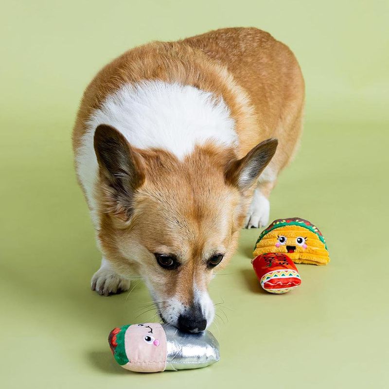 Set de 3 Juguetes para Perro I Got The Hot For U