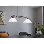 Lampara de Colgar 2 Luces Vinovo Café Oscuro