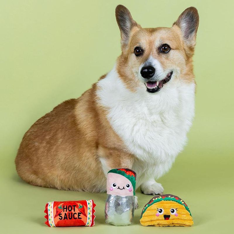 Set de 3 Juguetes para Perro I Got The Hot For U