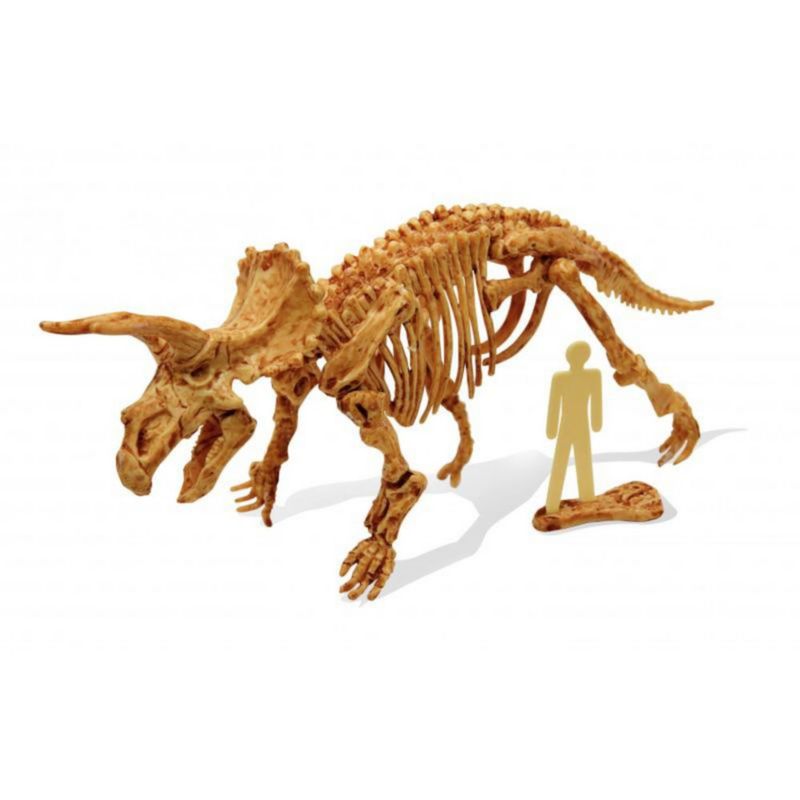 Kit de dinosaurio - Buki
