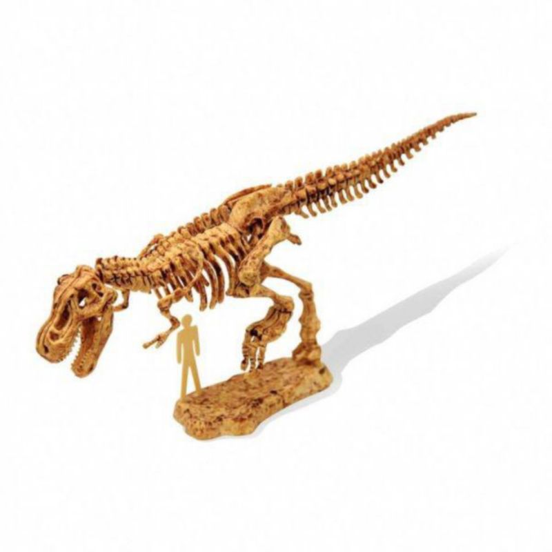 Kit de dinosaurio - Buki