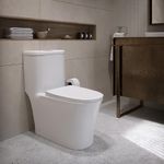 Sanitario de Una Pieza con Descarga Dual Diseño Contemporáneo Blanco Brillante