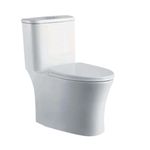 Sanitario de Una Pieza con Descarga Dual Diseño Contemporáneo Blanco Brillante