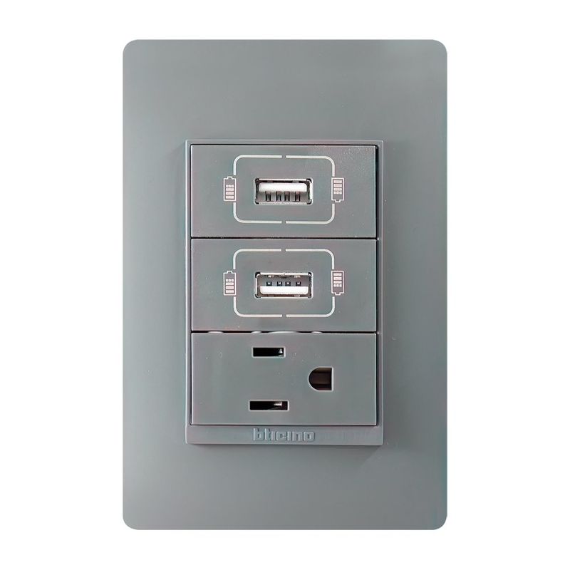 Tomacorriente de USB Doble Grafito