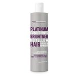 Acondicionador Platinum para Cabello Seco y Opaco 493ml - SYLT Professional