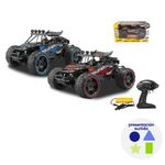 Vehículo de Rally 1:10 2.4GHz