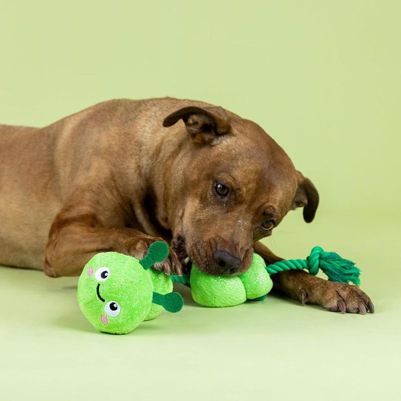 Juguete para Perro de Oruga con Cuerda