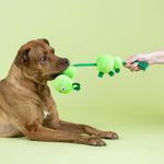 Juguete para Perro de Oruga con Cuerda