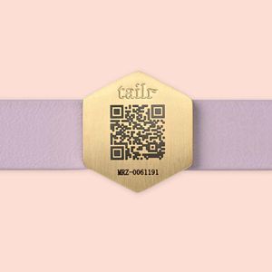 Collar para Perro Grande con Código Qr Deslizable