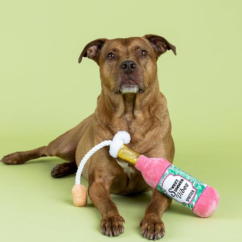 Juguete para Perro de Botella Sweet Summer Vibes
