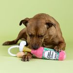 Juguete para Perro de Botella Sweet Summer Vibes