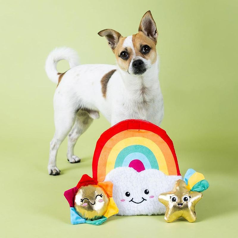 Juguete para Perro de Estrellas y Arcoiris