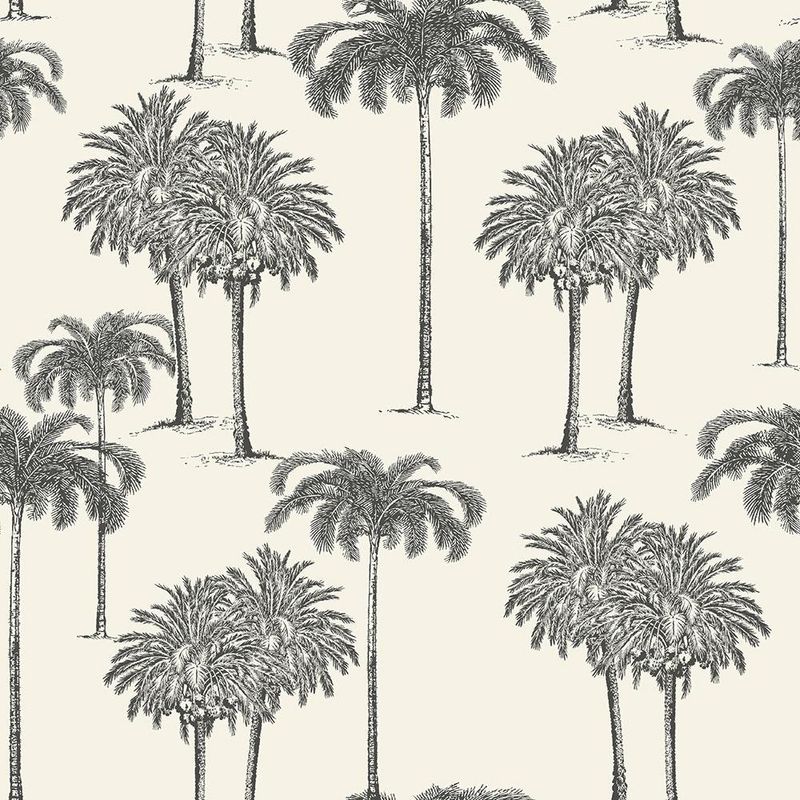 Papel Tapiz Explorer Palmas Blanco 0.53 x 10.05 M