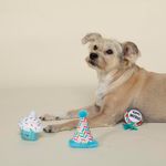 Set de 3 Juguetes para Perro Happy Birthday