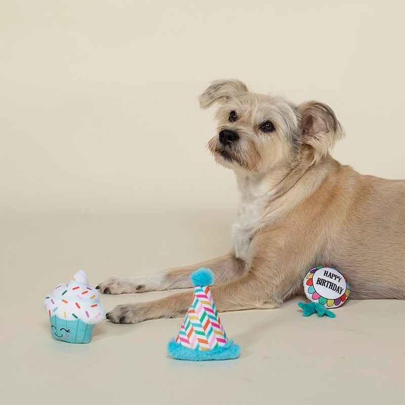 Set de 3 Juguetes para Perro Happy Birthday