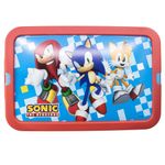 Caja de Almacenamiento Click Diseño Sonic 13 L