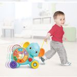 Mi Elefante De Arrastre - Winfun