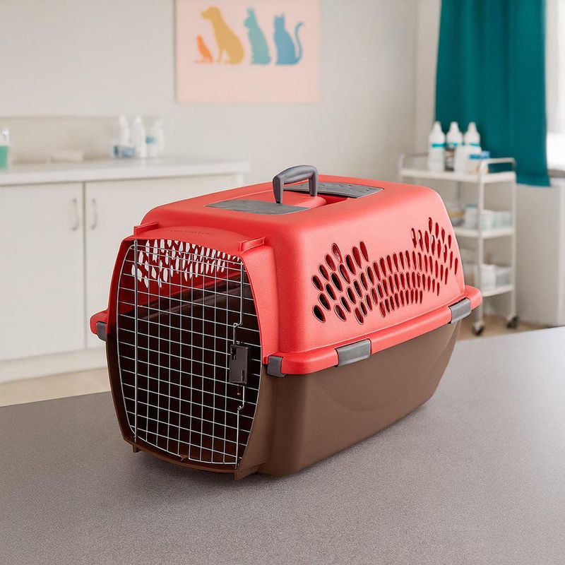 Transportador Plástico de Mascotas en Colores Surtidos