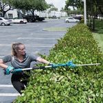 Cortasetos De Altura 18 Voltios - Makita