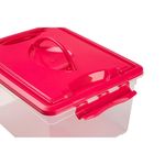 Caja Organizadora Fucsia 12 Lt