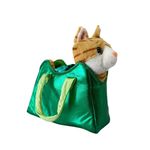 Bolsa Verde con Peluche Gatito