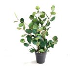 Eucalipto Decorativo Artificial