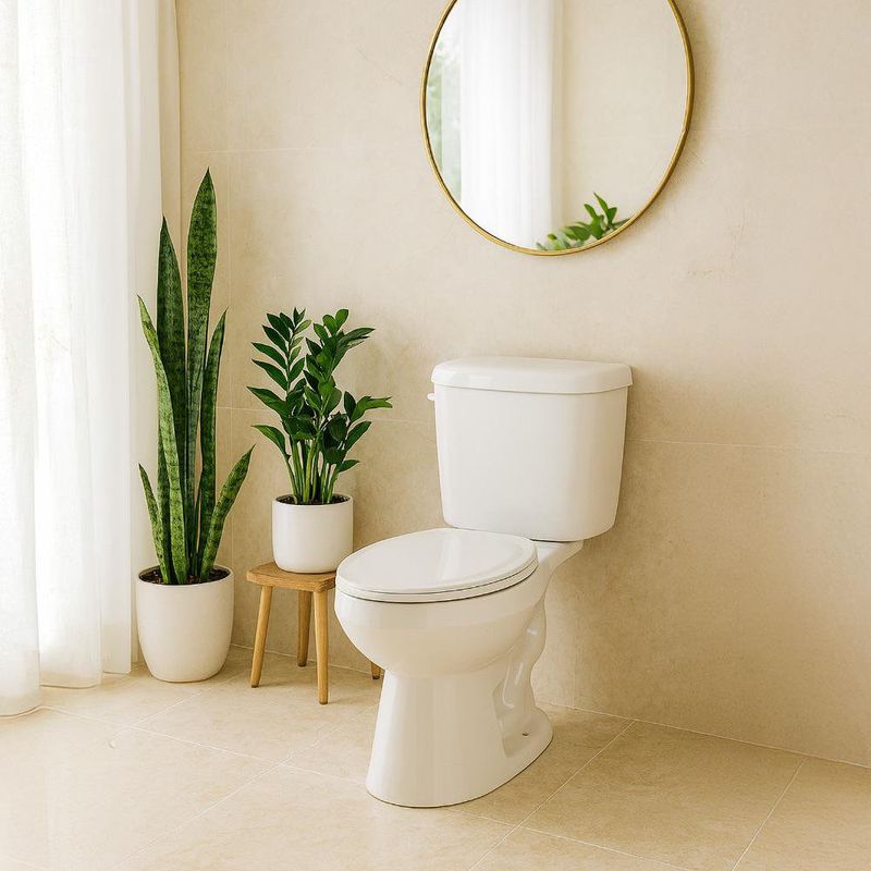 Sanitario de 2 Piezas Confort Blanco Descarga Dual