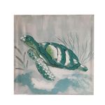 Cuadro Decorativo de Tortuga